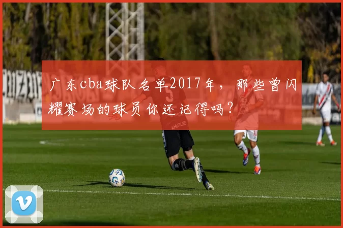 广东cba球队名单2017年，那些曾闪耀赛场的球员你还记得吗？