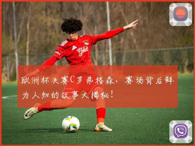 欧洲杯决赛C罗弗格森,赛场背后鲜为人知的故事大揭秘!