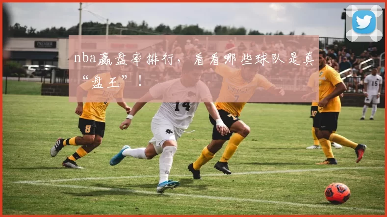 nba赢盘率排行，看看哪些球队是真“盘王”！