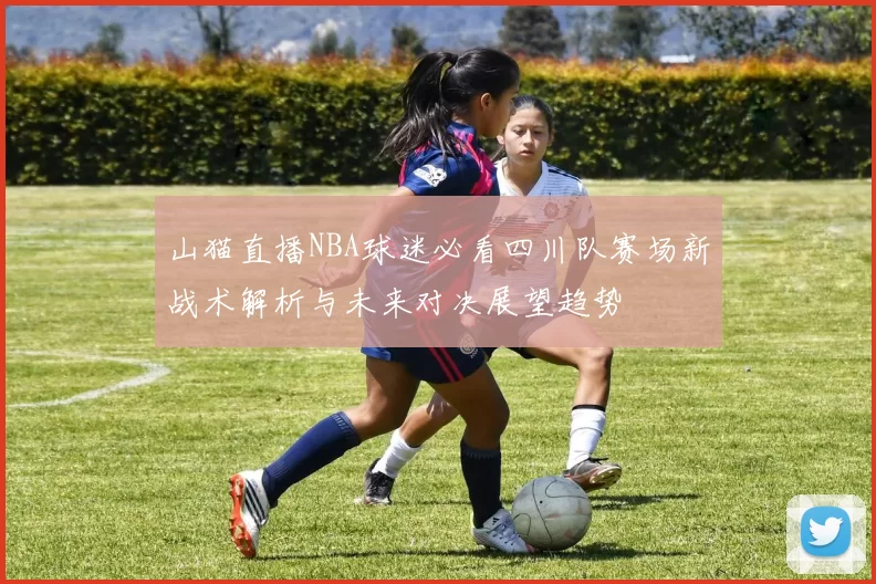 山猫直播NBA球迷必看四川队赛场新战术解析与未来对决展望趋势