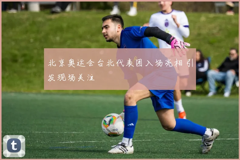 北京奥运会台北代表团入场亮相 引发现场关注