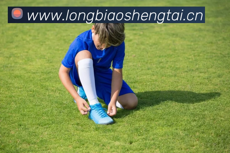 辅助工具 辅助工具